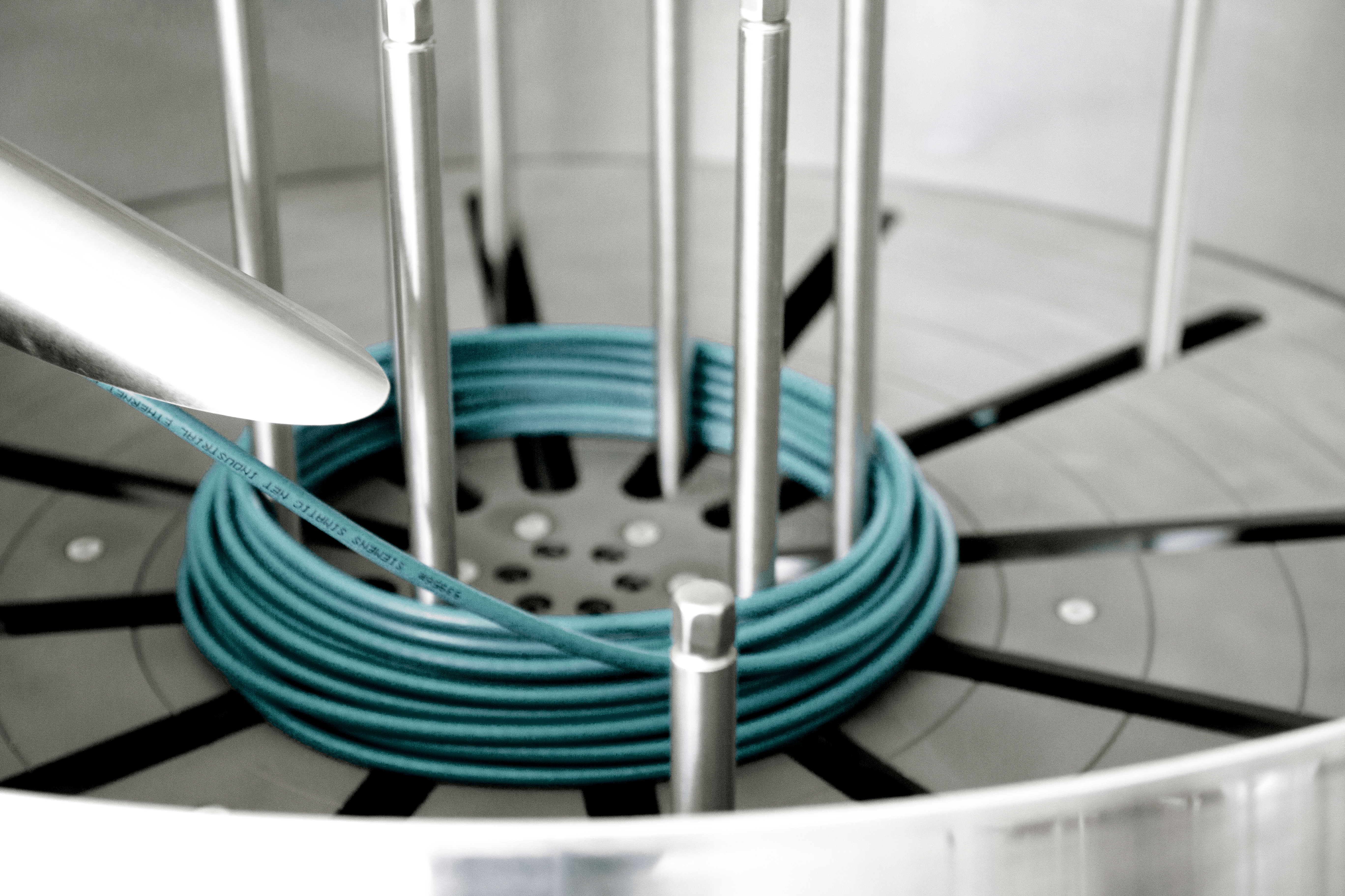 VorauswahlBilderEva 71